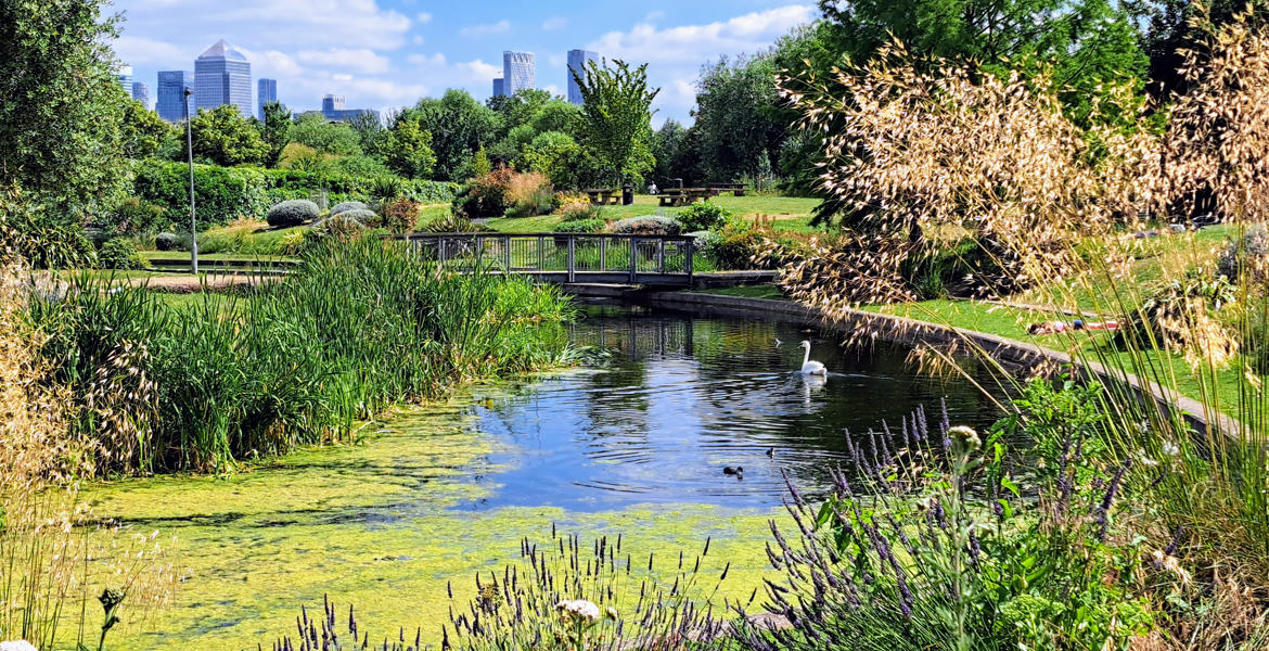 John White - the Art Pavilion Pond in Mile End Park ed